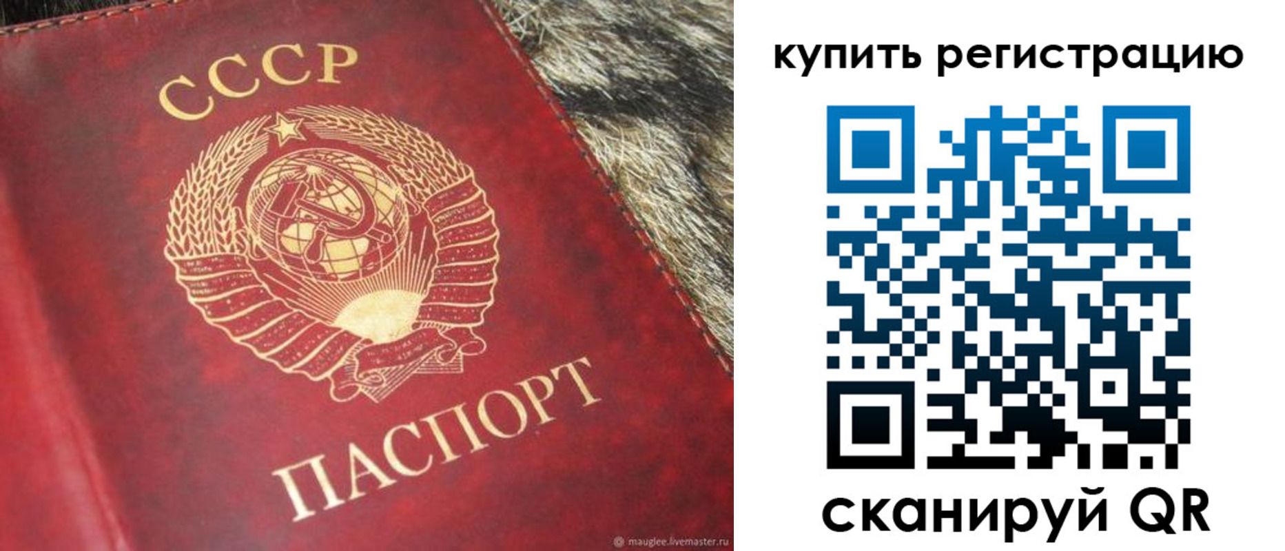 временная регистрация в квартире в Калининградской области